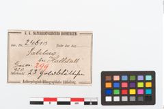 Foto von Goldfolienschwertknaufbesatz (NHMW-PRAE-024610)